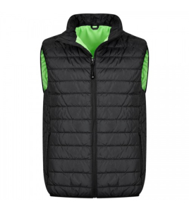 Ватиран елек за работа APOLLO Vest | Черен