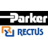 RECTUS